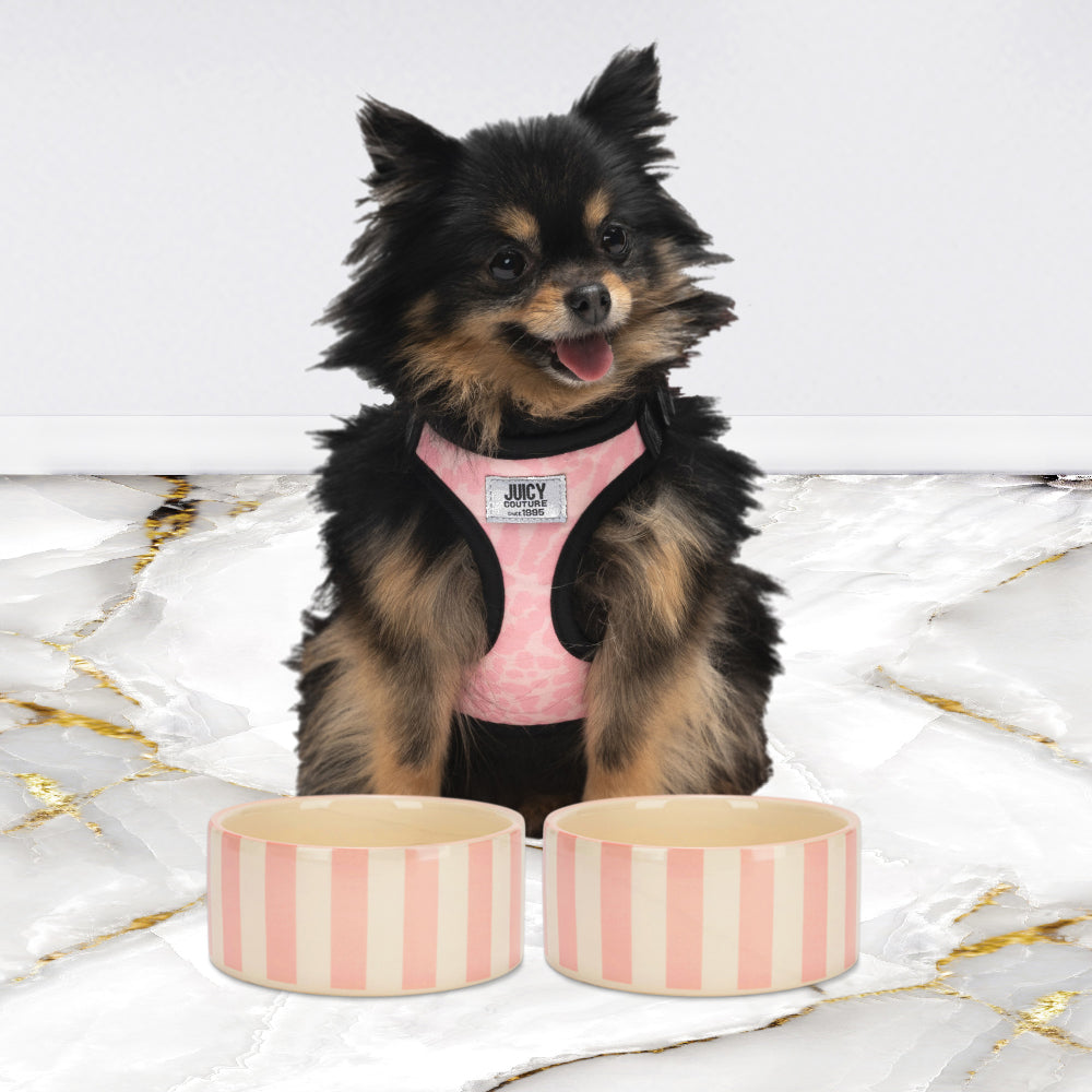 Juicy Couture 16oz Ceramic Bowl Set Light Pink Candy Stripe