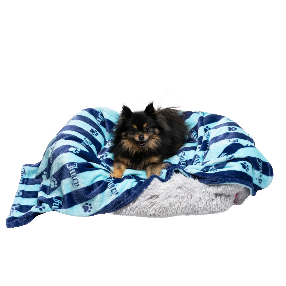 Juicy Couture Plush Pet Blanket Blue Stripe