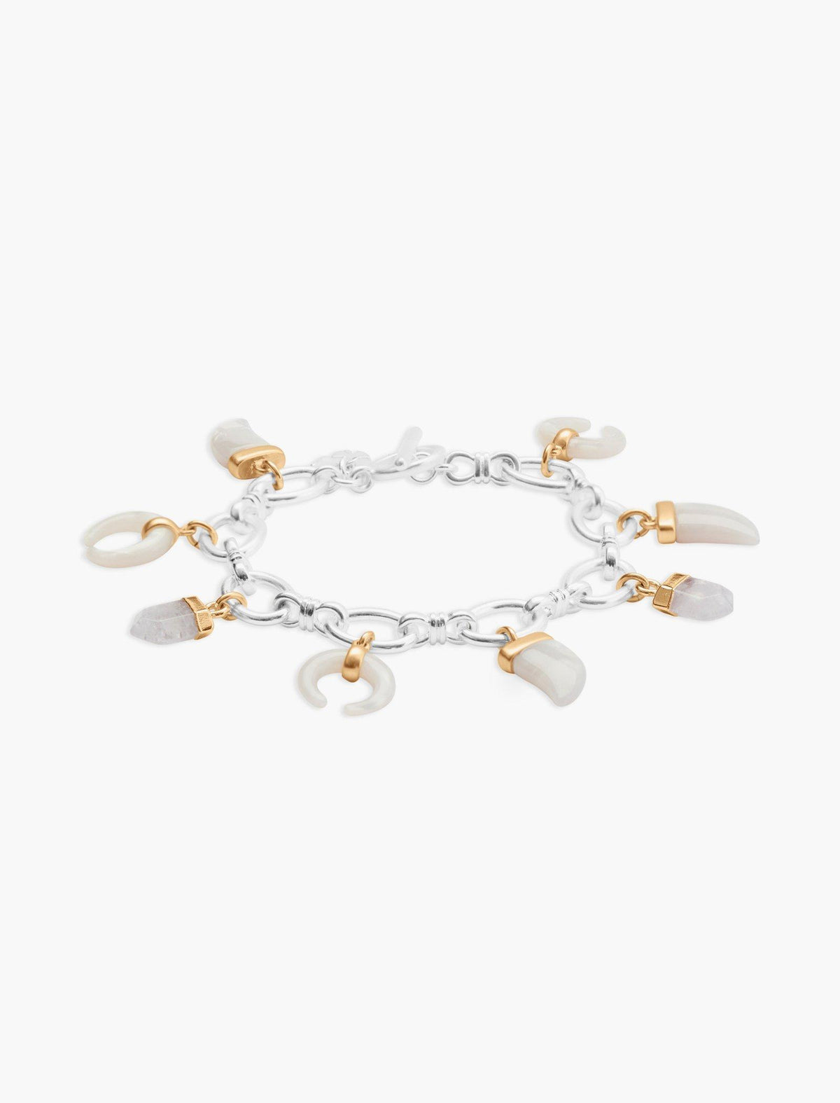 Lucky Brand Tusk Charm Bracelet - Women's Ladies Accessories Jewelry Bracelets Two Tone