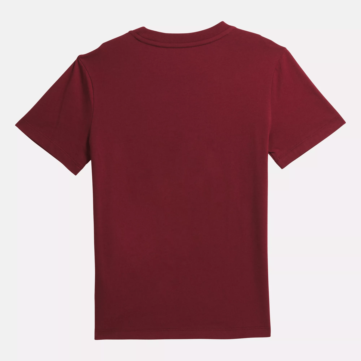 Reebok Identity T-Shirt - Big Kids