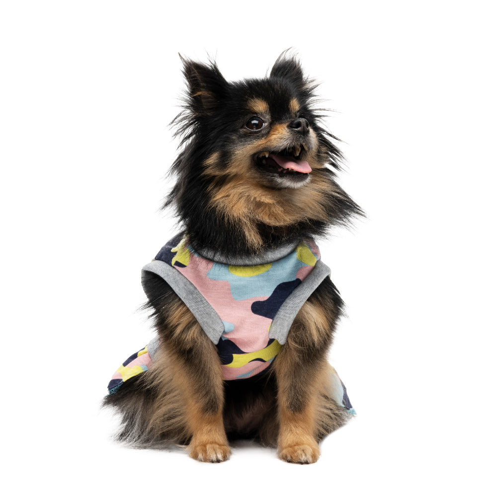 Cheer Pet Dress