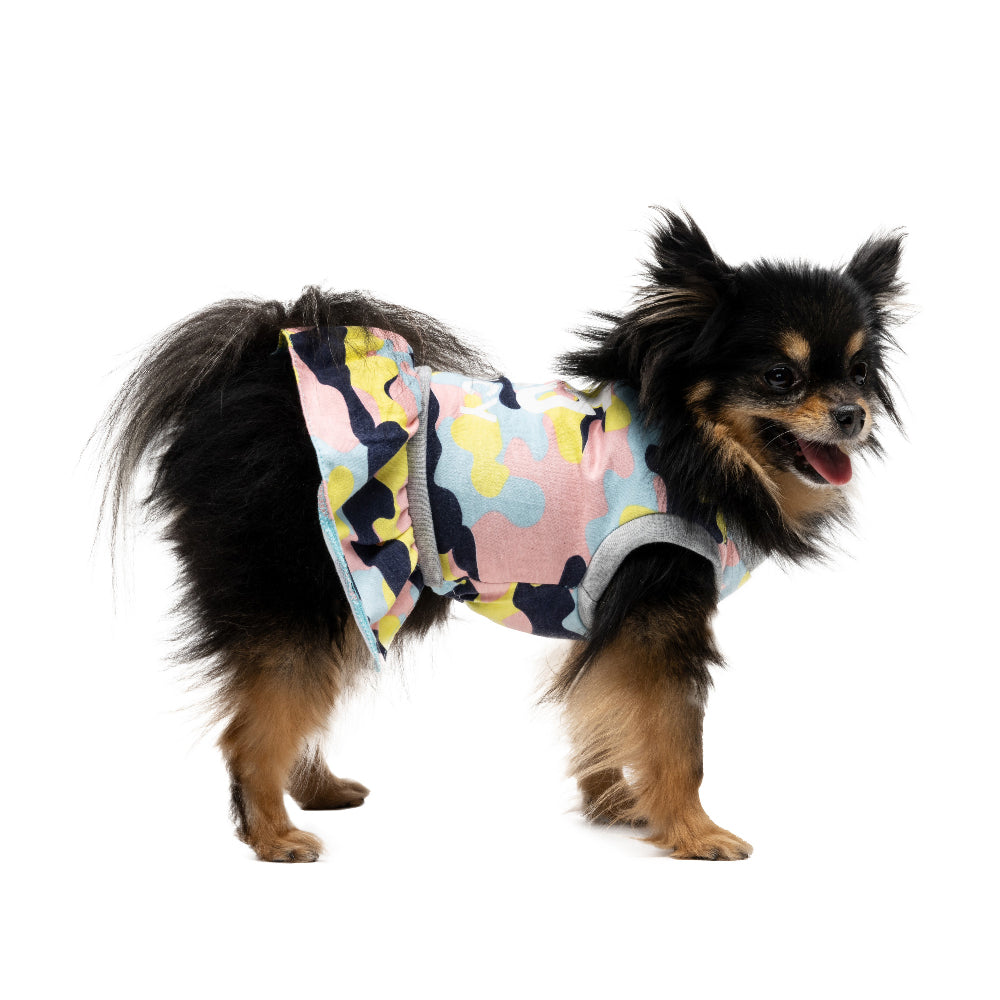 Cheer Pet Dress