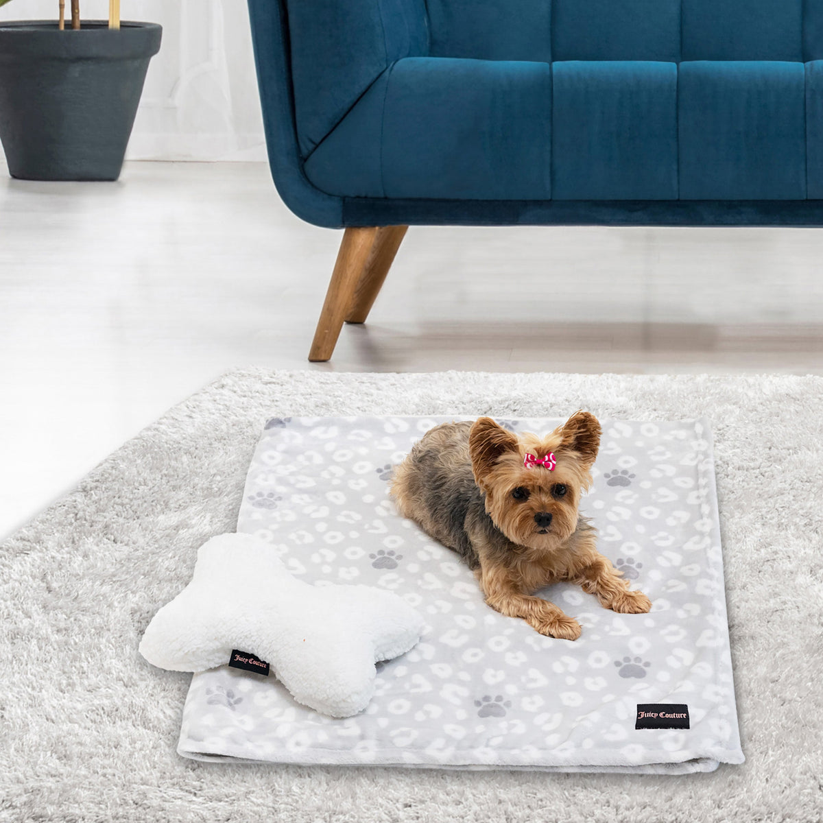 Pet Throw Blanket & Bone Pillow 2-Piece Set - Juicy Couture