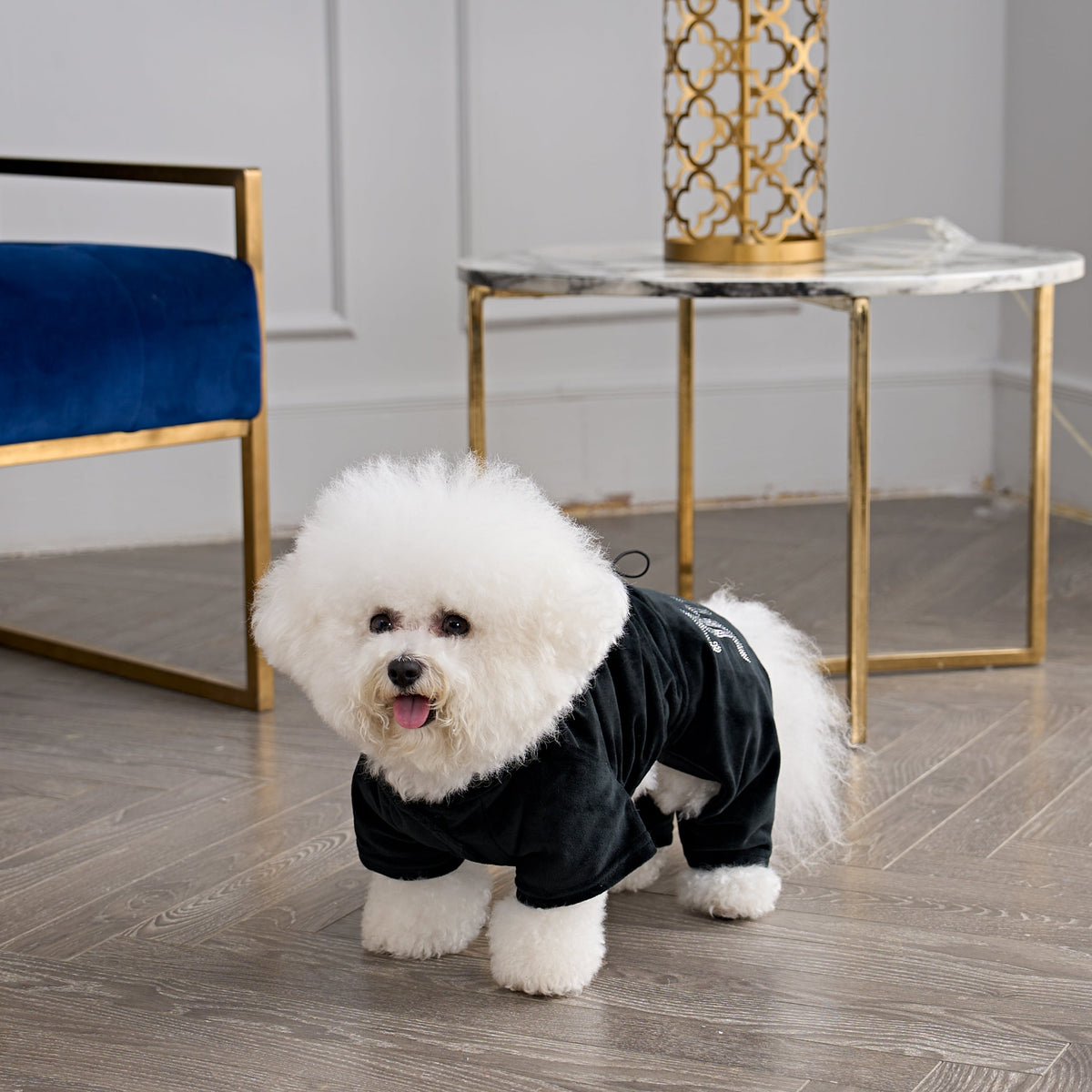 Bling Velour Pet Tracksuit