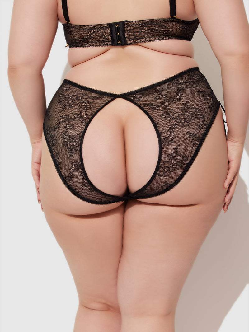 Luella Lace Open Back High-Waist Panty - Frederick's Of Hollywood