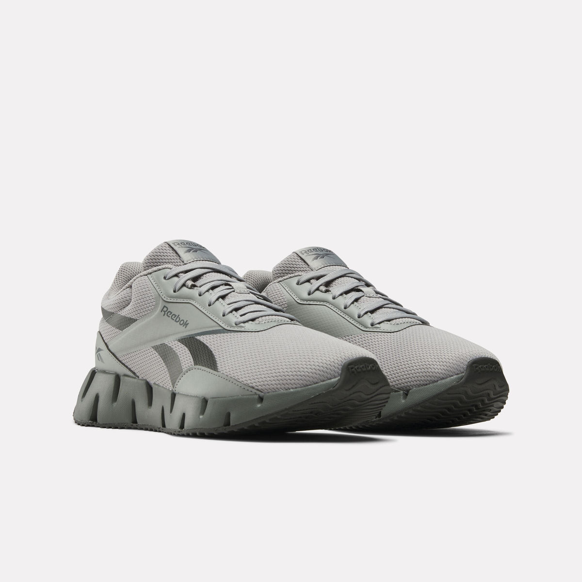 Zig Dynamica STR Running Shoes