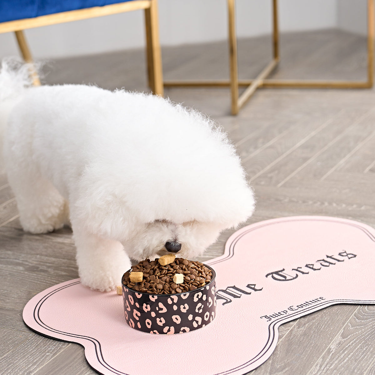 Give Me Treats Pet Placemat