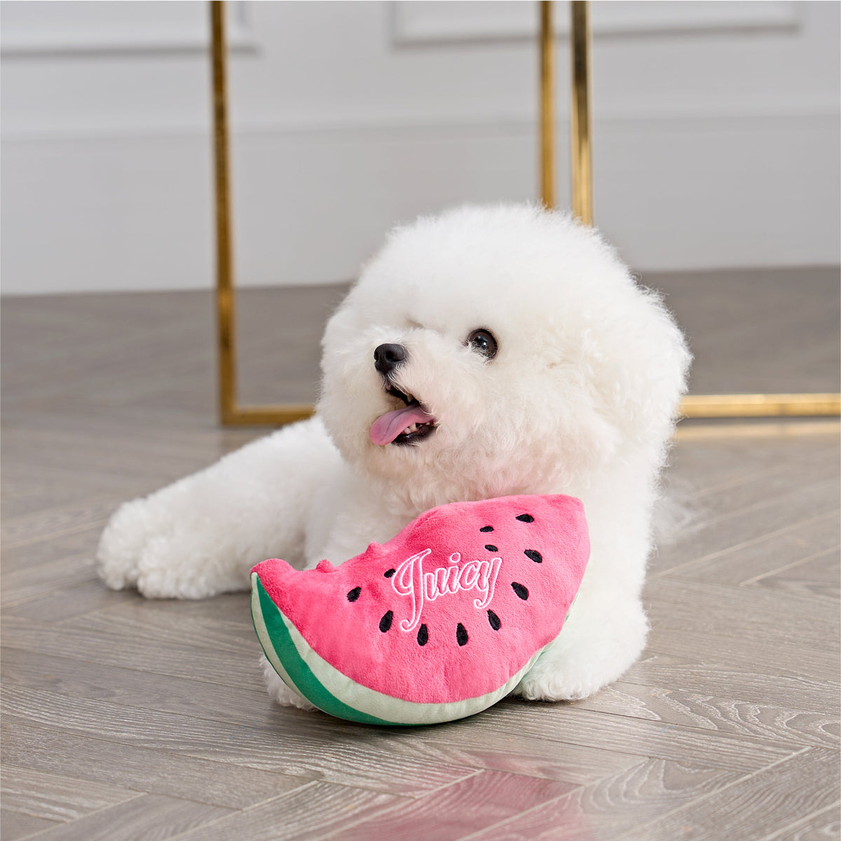 Watermelon Squeaky Pet Toy