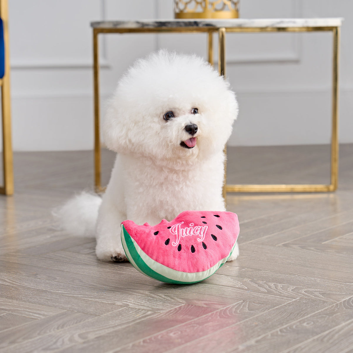 Watermelon Squeaky Pet Toy