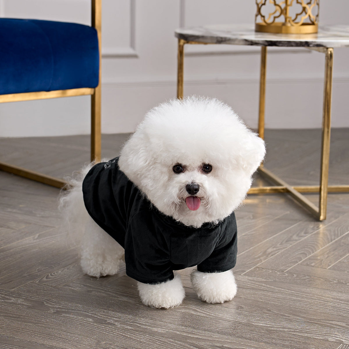 Bling Velour Pet Hoodie