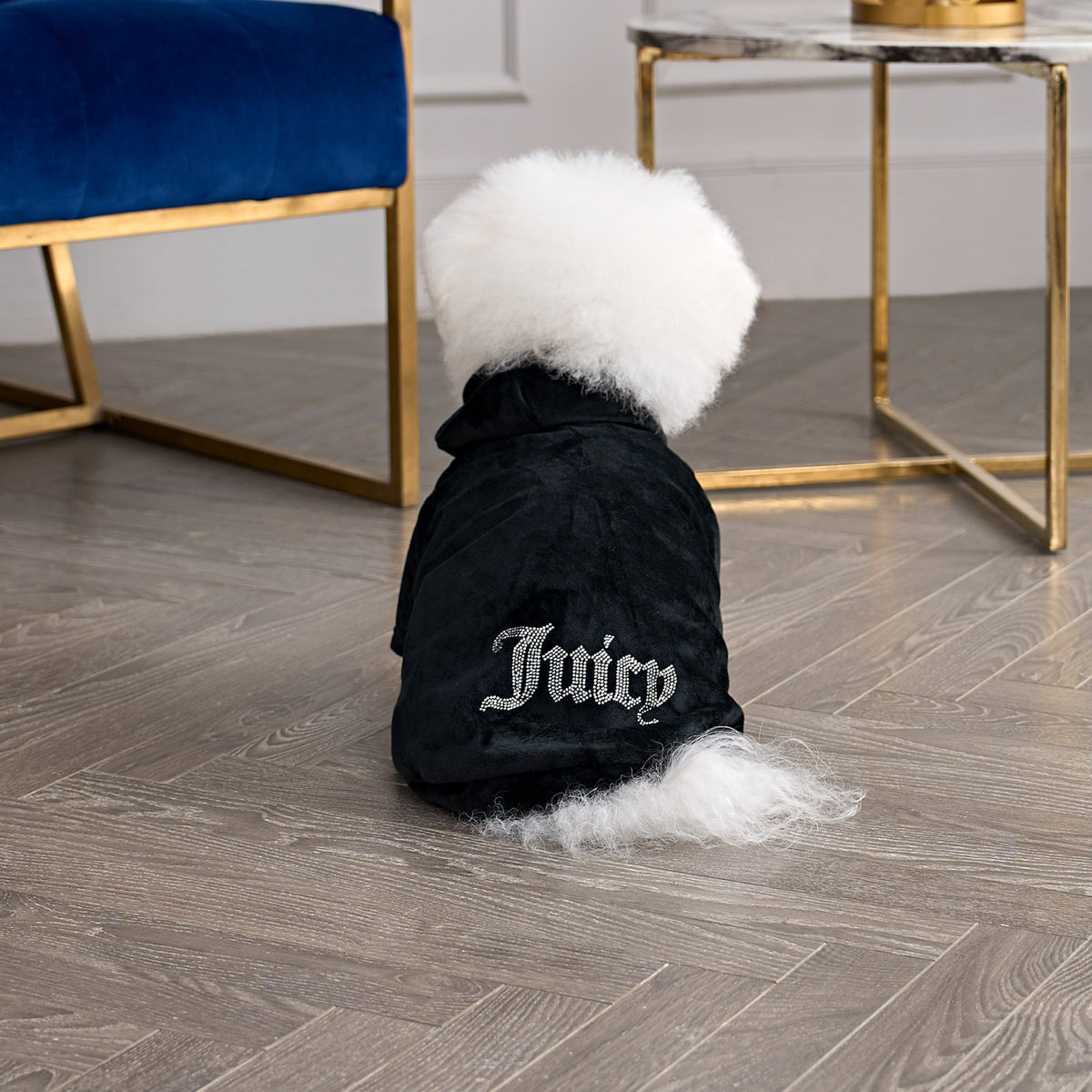 Bling Velour Pet Hoodie