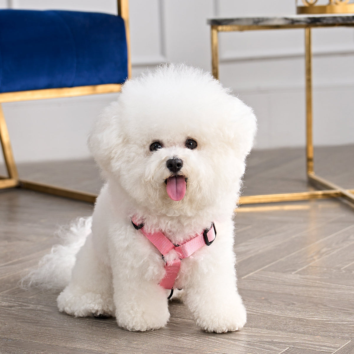 Bling Velour Pet Harness and Leash Set