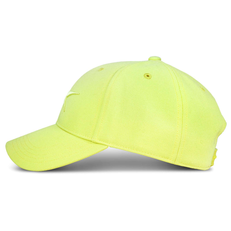 Vector Baseball Cap