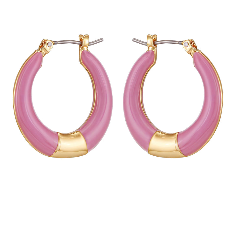 Gold Tone Enamel Hoop Earrings