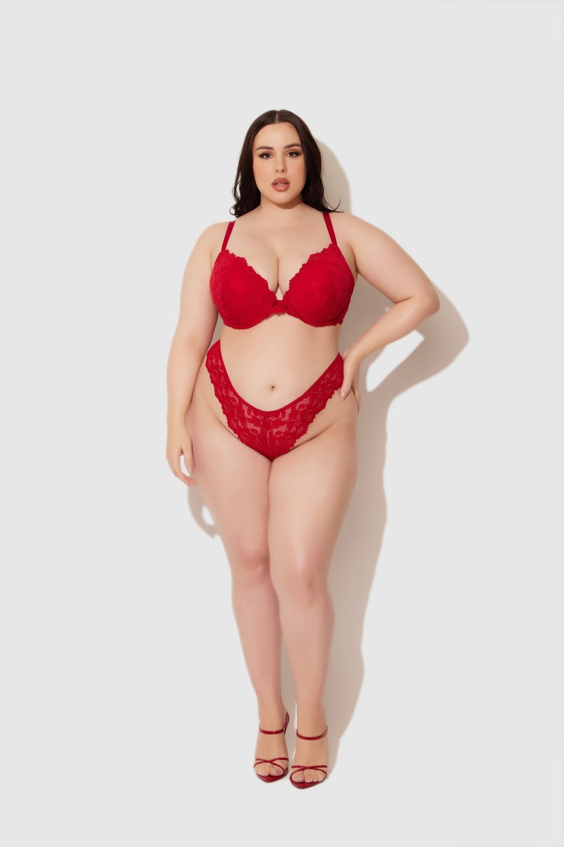 Jessica Lace Plunge Push Up Bra
