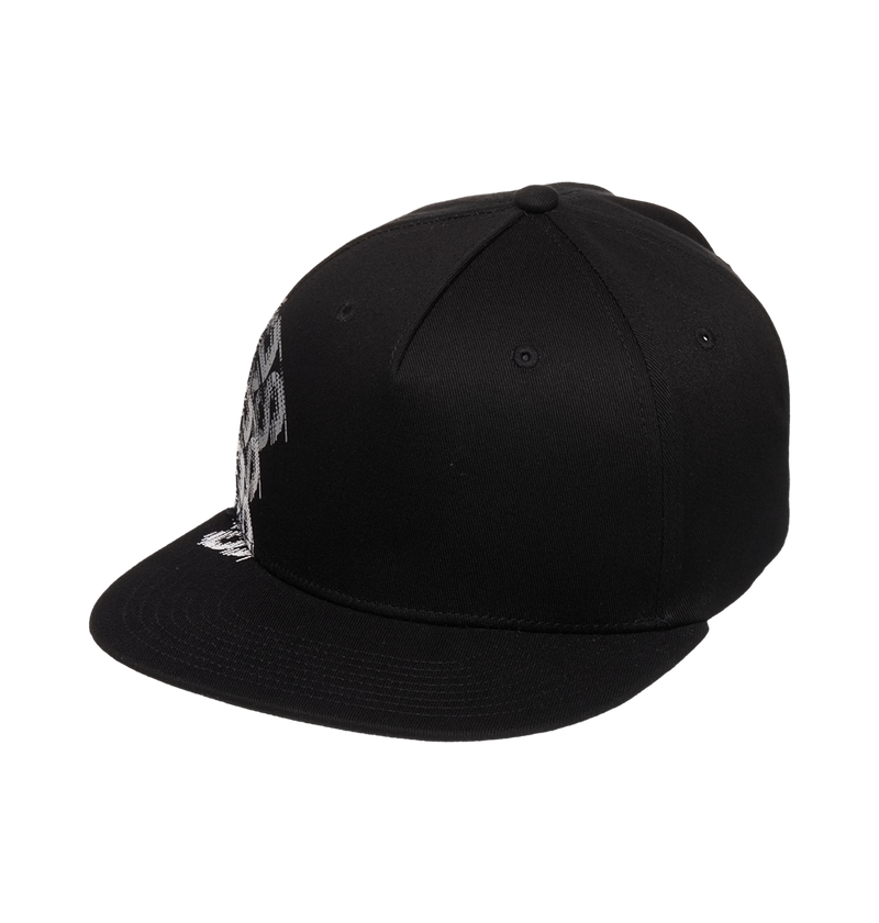 Men's DC Omega 2 Cap