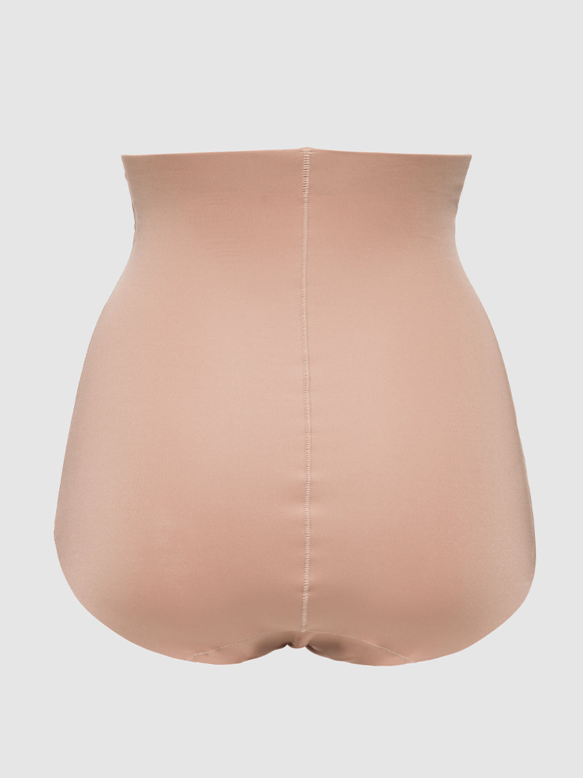 Hollywood Shape Sculpting High Waist Briefs