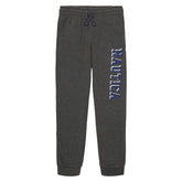 Nautica Toddler Boys’ Logo Graphic Jogger (2T-4T) Grey Heather