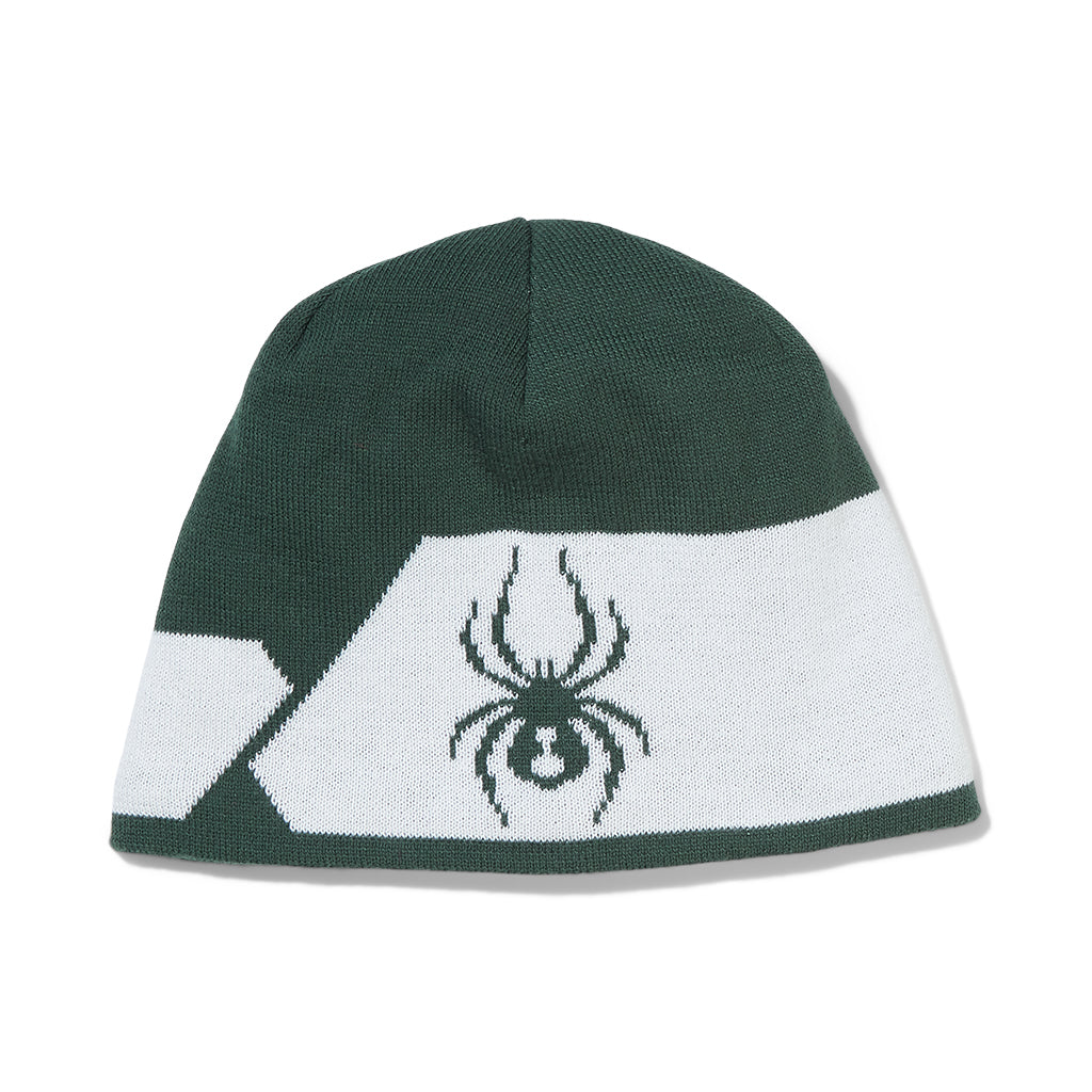 Spyder Shelby Beanie Beanie Green